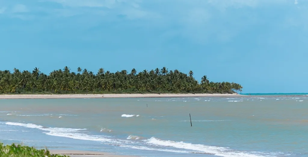 Fotos carnaval wellness-praia