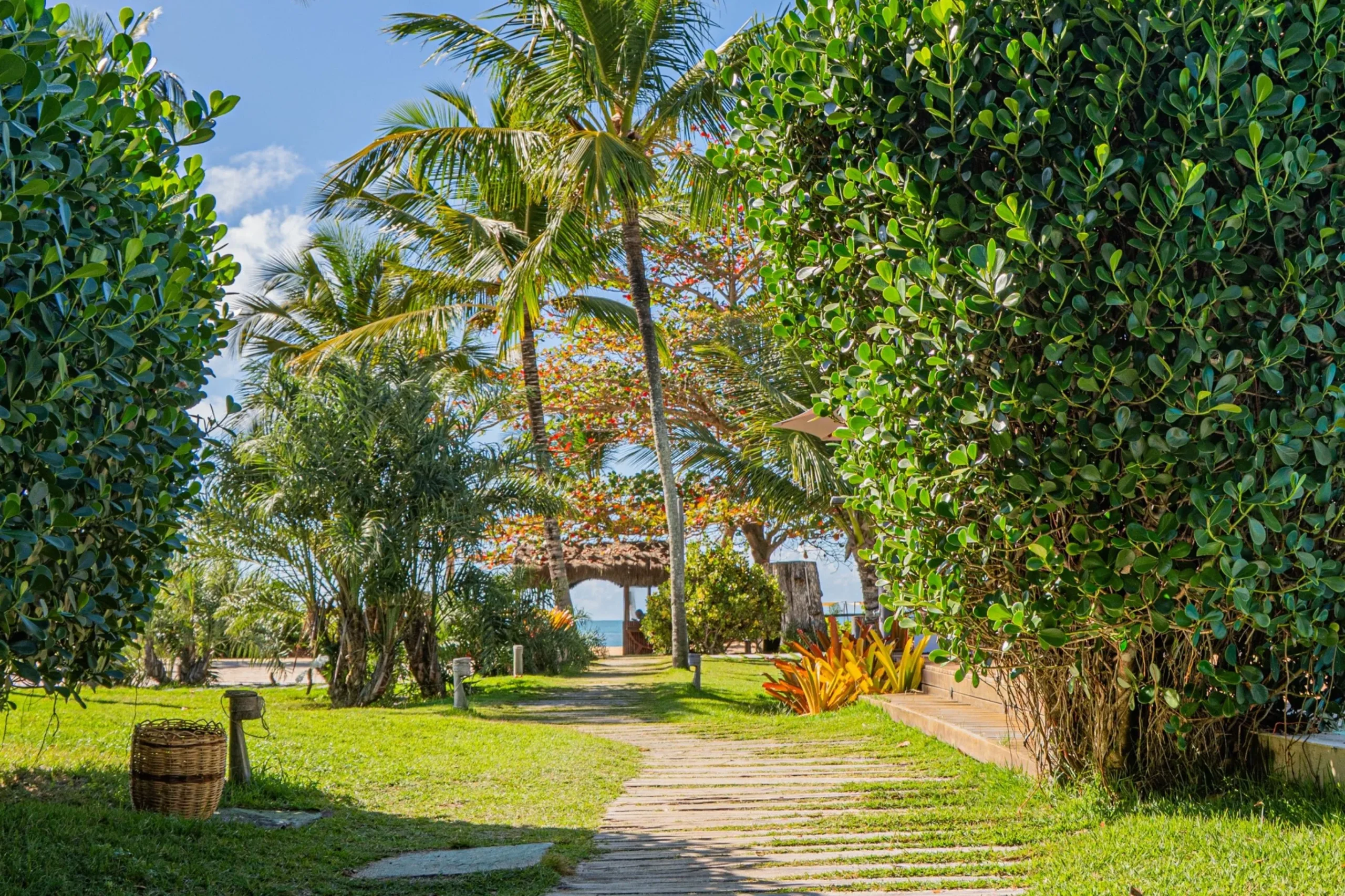 foto-caminho-corporate_11zon
