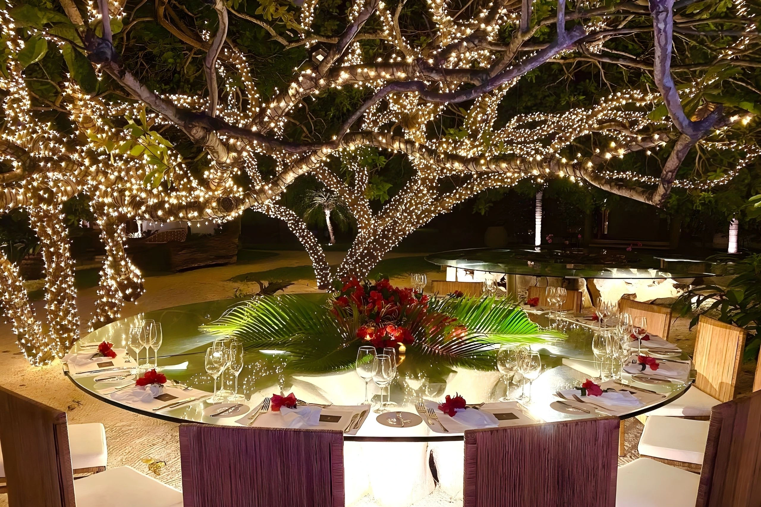 foto-organizacao-cajueiro-cadeira